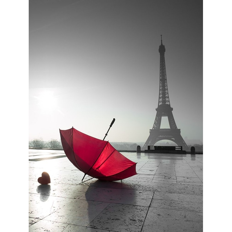 Two umbrellas next to the Eiffel tower Poster Print by Assaf Frank # AF201203161331C07